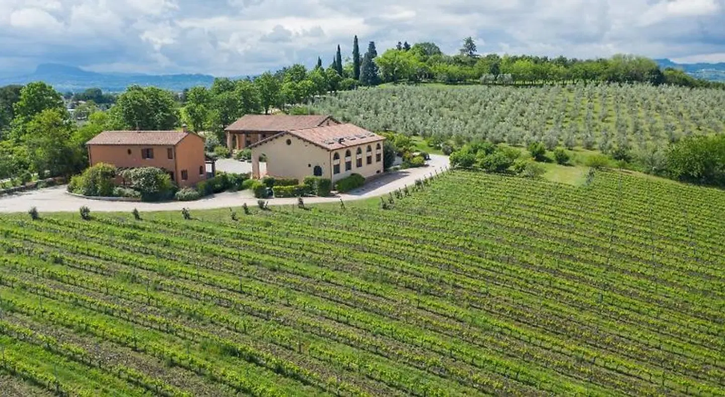 Collina dei Poeti EXTERIOR