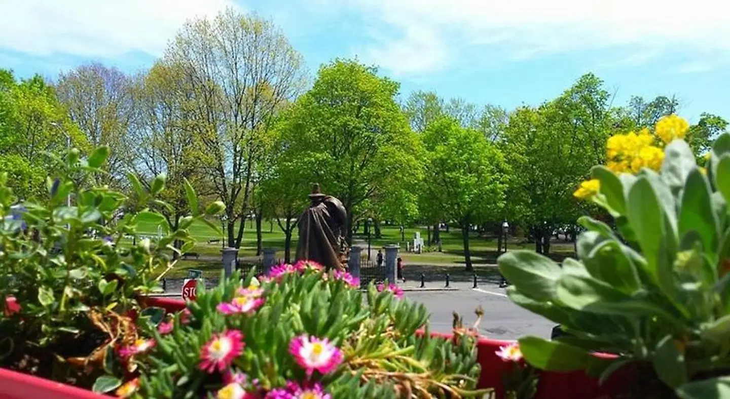 Stepping Stone Inn LANDSCAPE