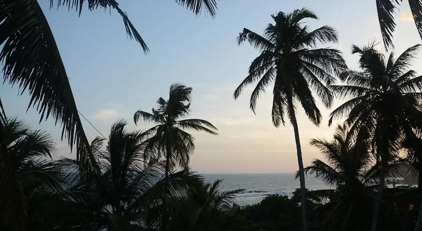 Sea View Tourist Inn LANDSCAPE