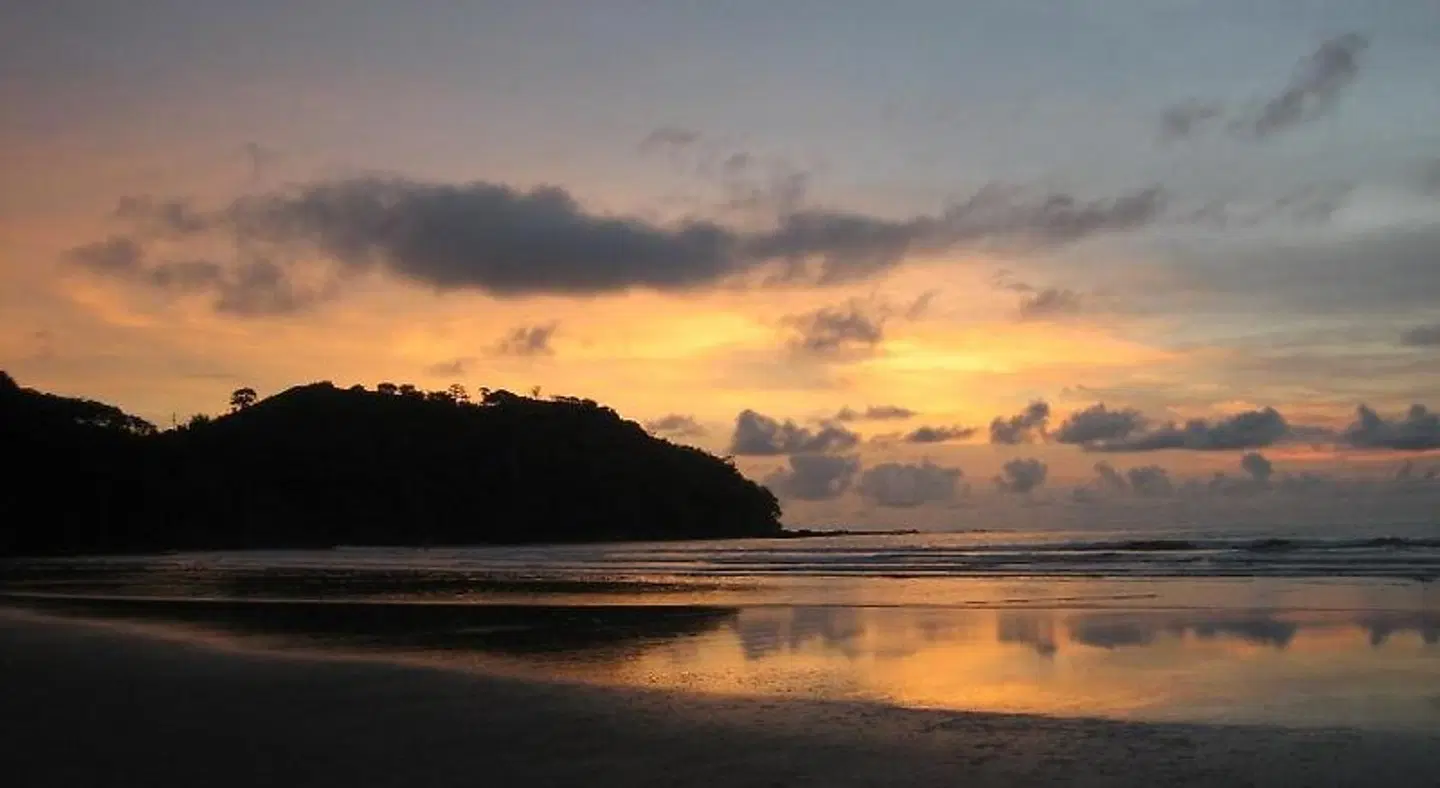 Alouatta Playa Coyote LANDSCAPE
