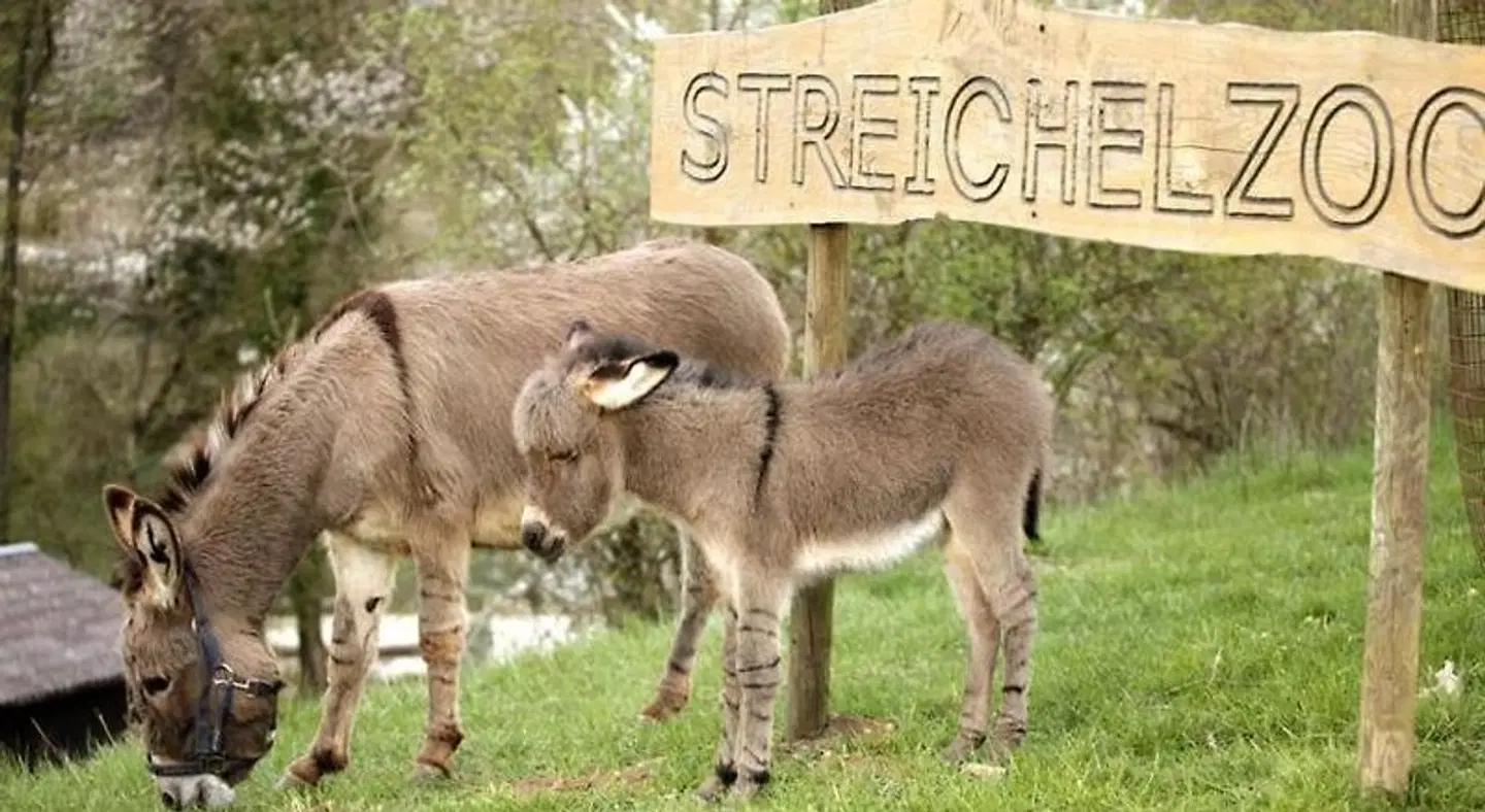 Hotel & Erlebnisgastronomie Lochmühle ANIMAL