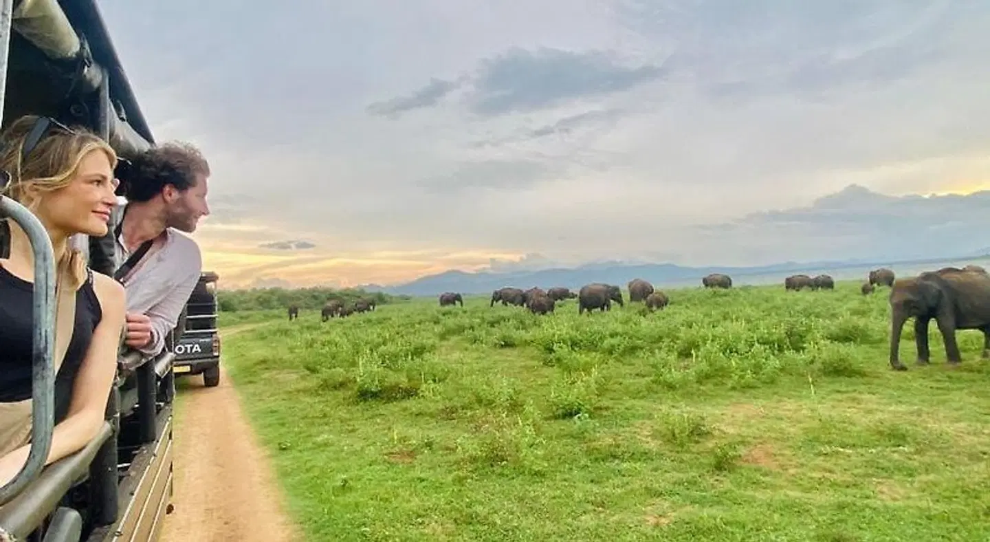 Mansala Safari House LANDSCAPE