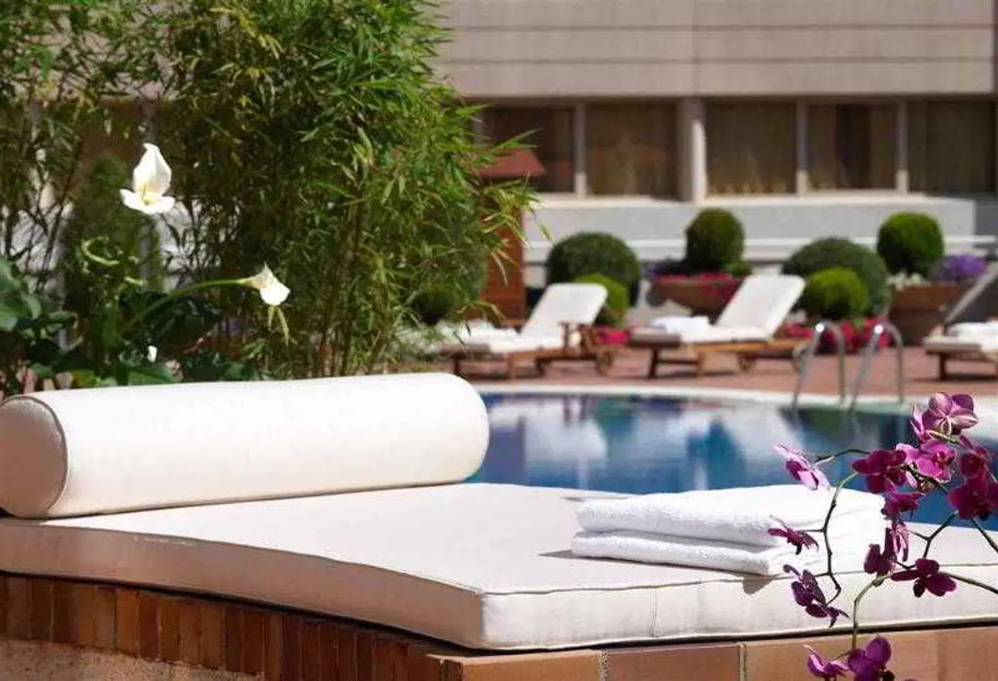 Pullman Madrid Airport & Feria Hotel OUTDOOR_POOL