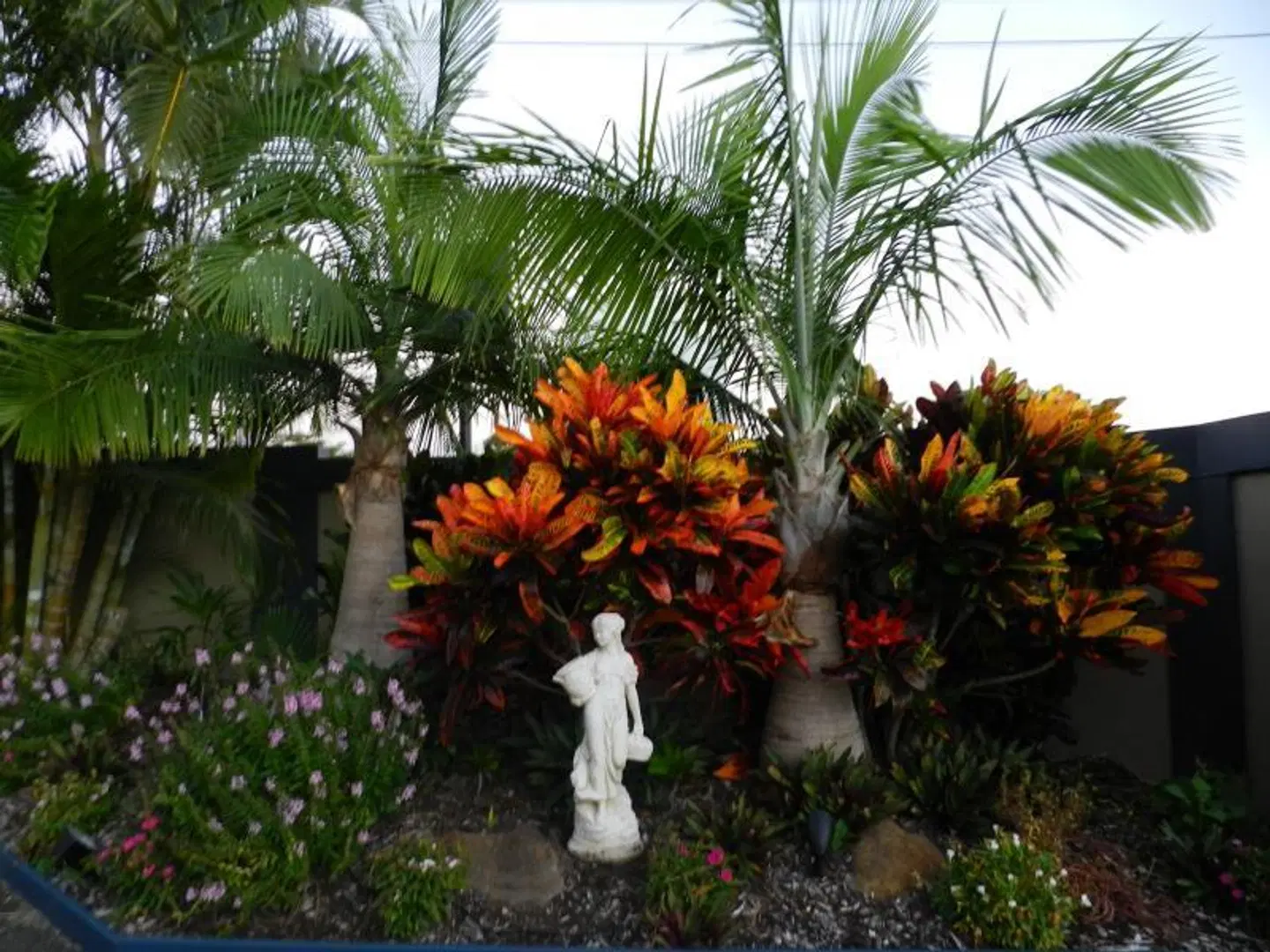 Golden Palms Motor Inn GARDEN