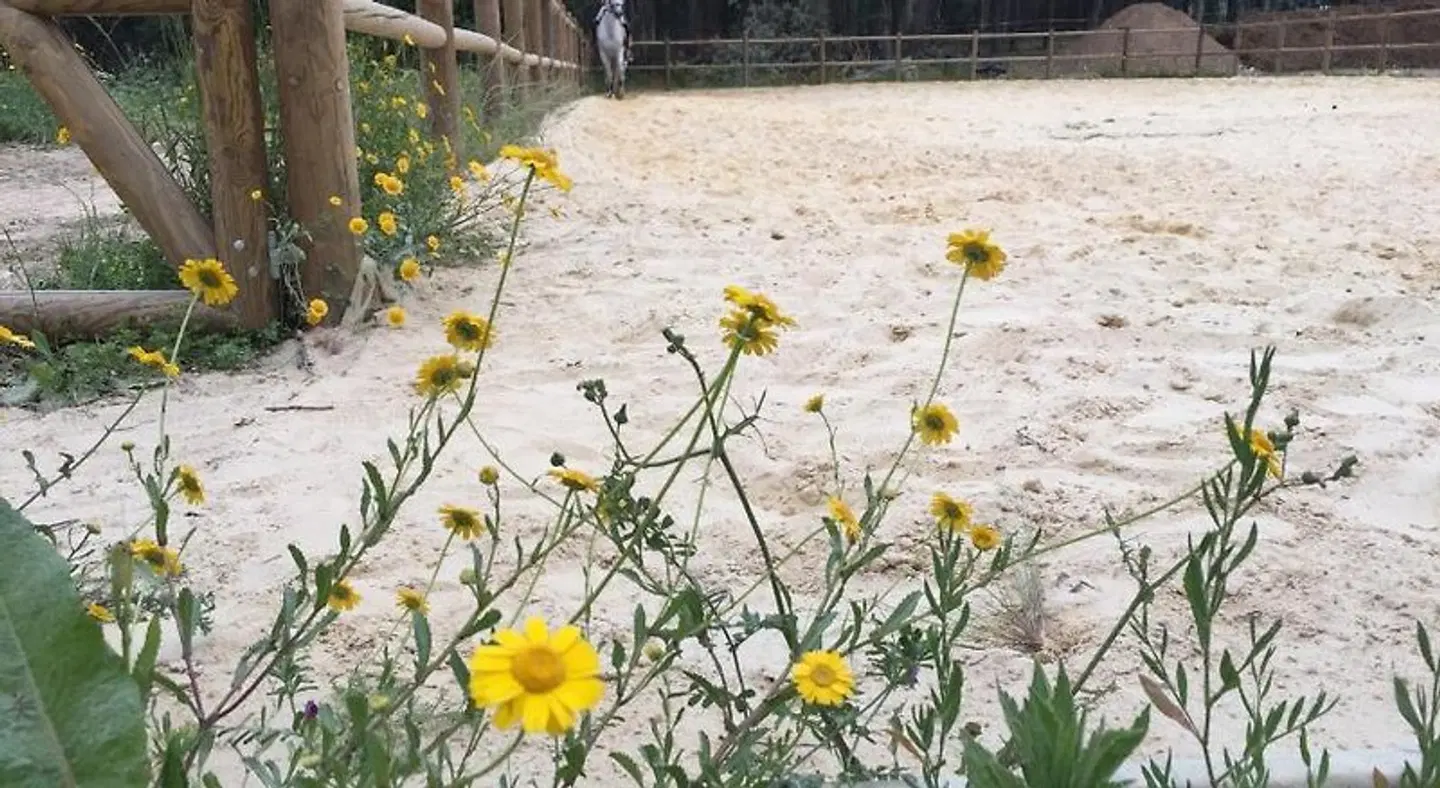 Coudelaria Residence BEACH