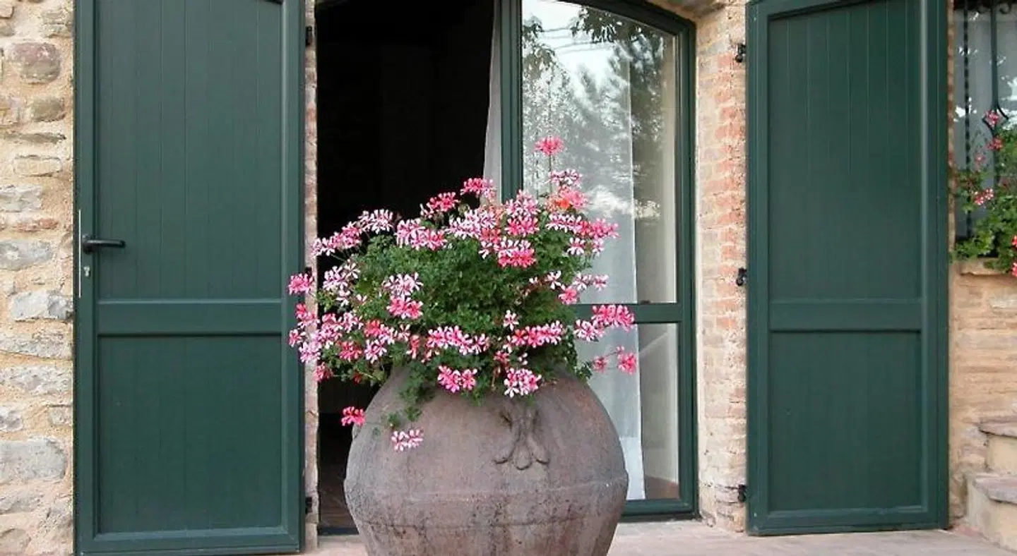 Azienda Agraria Montelujano TERRACE