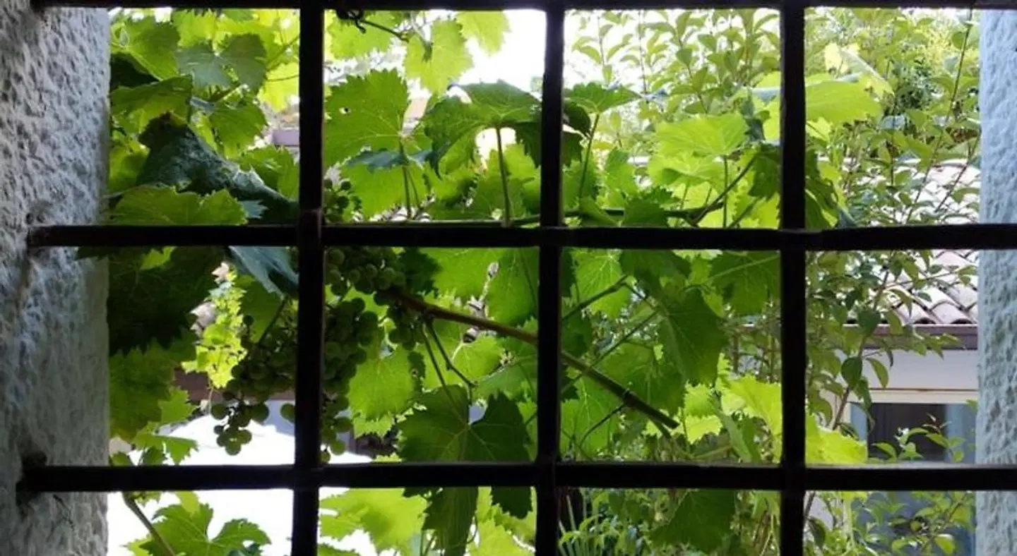 Regina Adelaide INDOOR_POOL