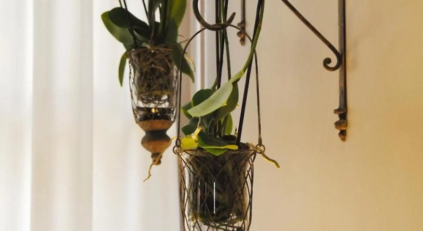 San Luca HEALTH_BEAUTY