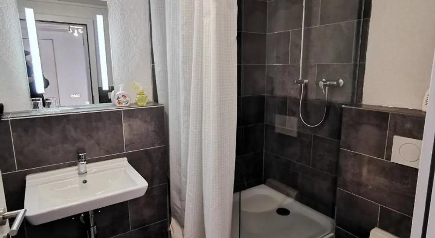 Downtown Apartment BATHROOM