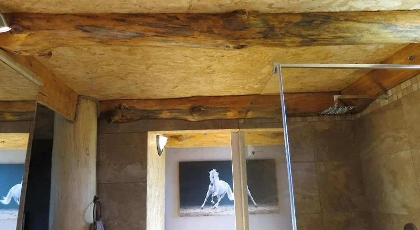 T'Niqua Stable Inn EXTERIOR