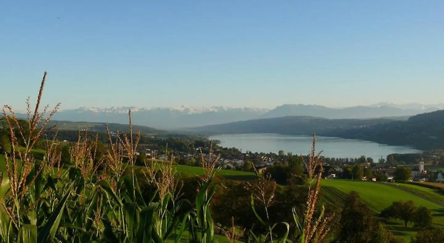 Hotel Restaurant Eichberg LANDSCAPE
