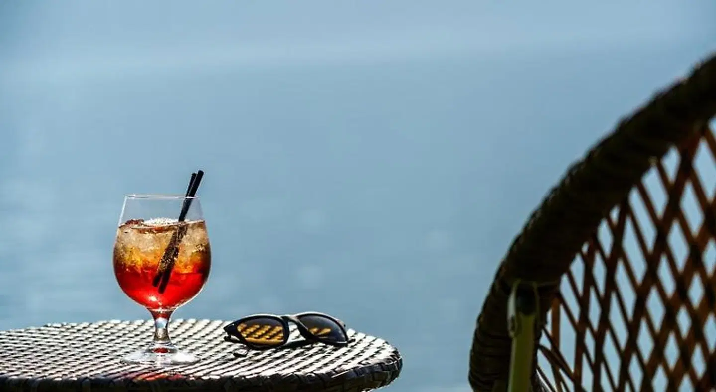 Hotel Seeburg ANIMAL