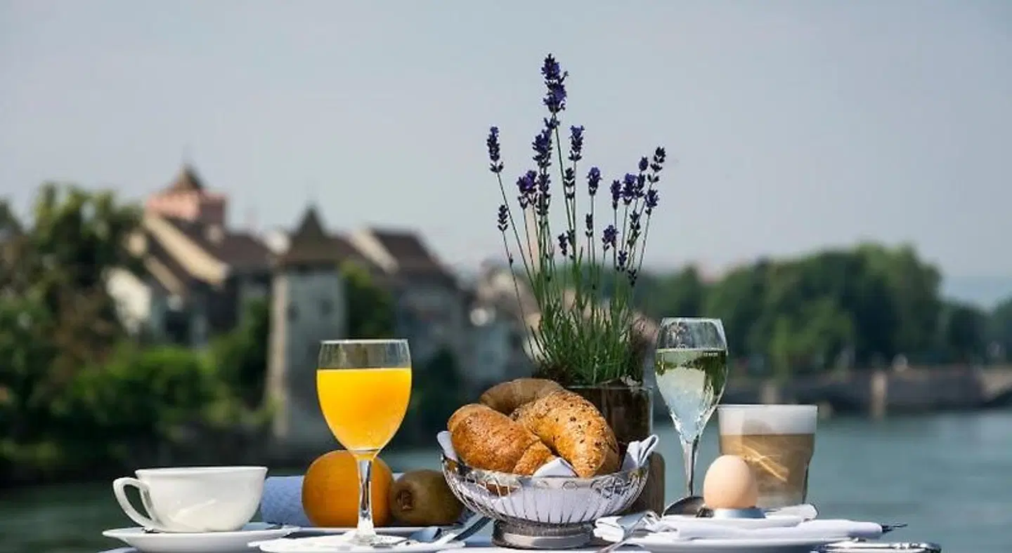 Park-Hotel am Rhein - Gesundheitshotel und Residenzen TERRACE