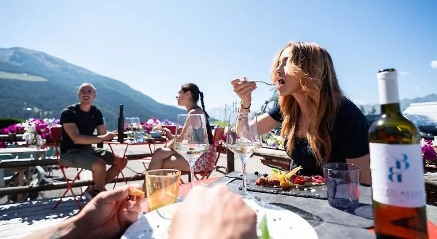 Chalet des Alpes TERRACE