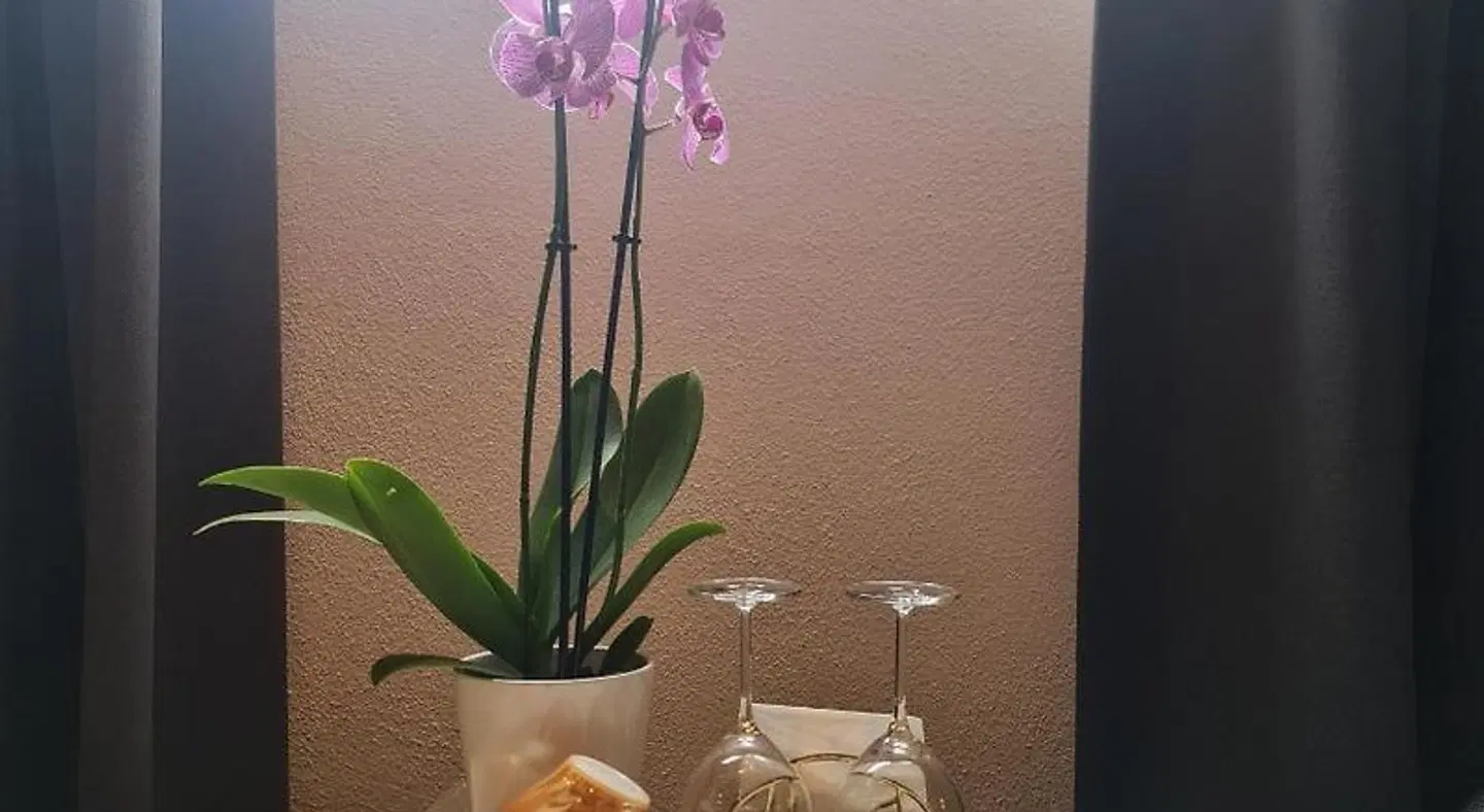 Crown Bed and Breakfast Amsterdam RESTAURANT