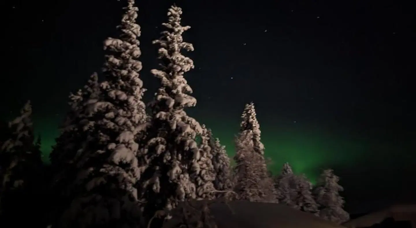 Lapland Snow Cabin LANDSCAPE