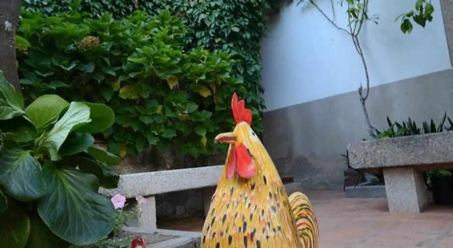 Casa Rural Antolina ANIMAL