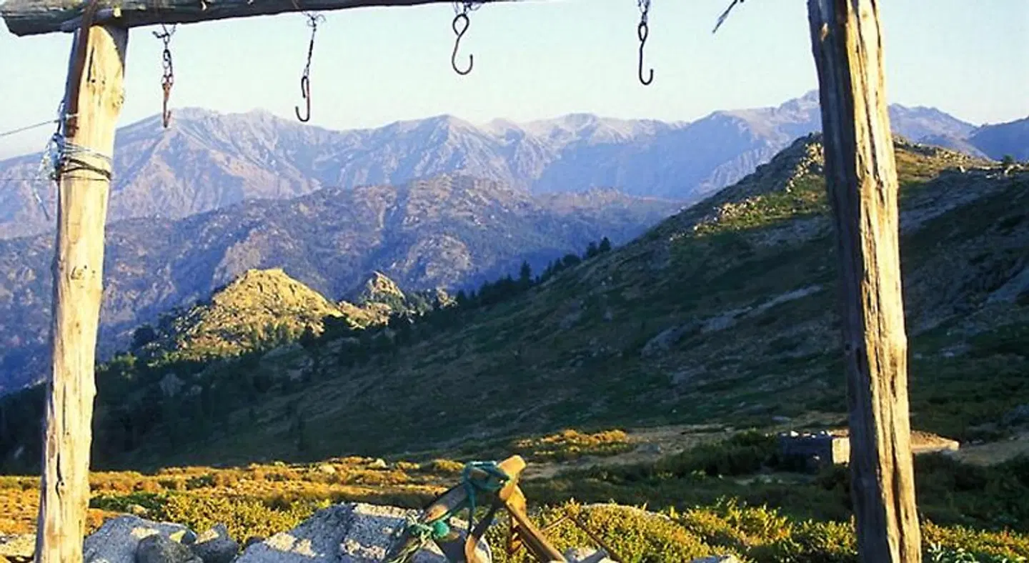 L'acqua Viva LANDSCAPE