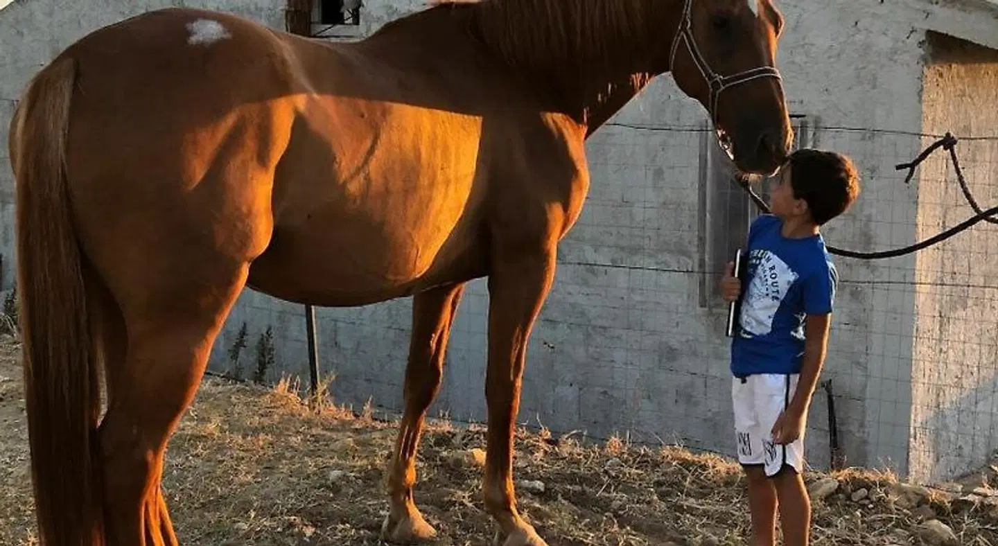 B&B L'EDEN DI CAPO BIANCO ANIMAL