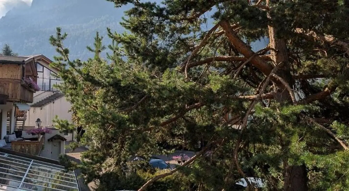 Eden Apartments LANDSCAPE