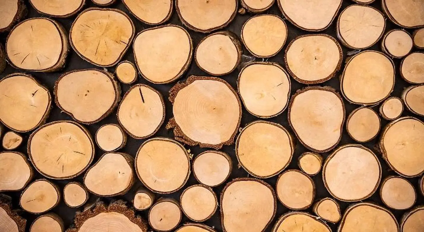 Appartments Bosco Verde MODEL_IMPRESSION