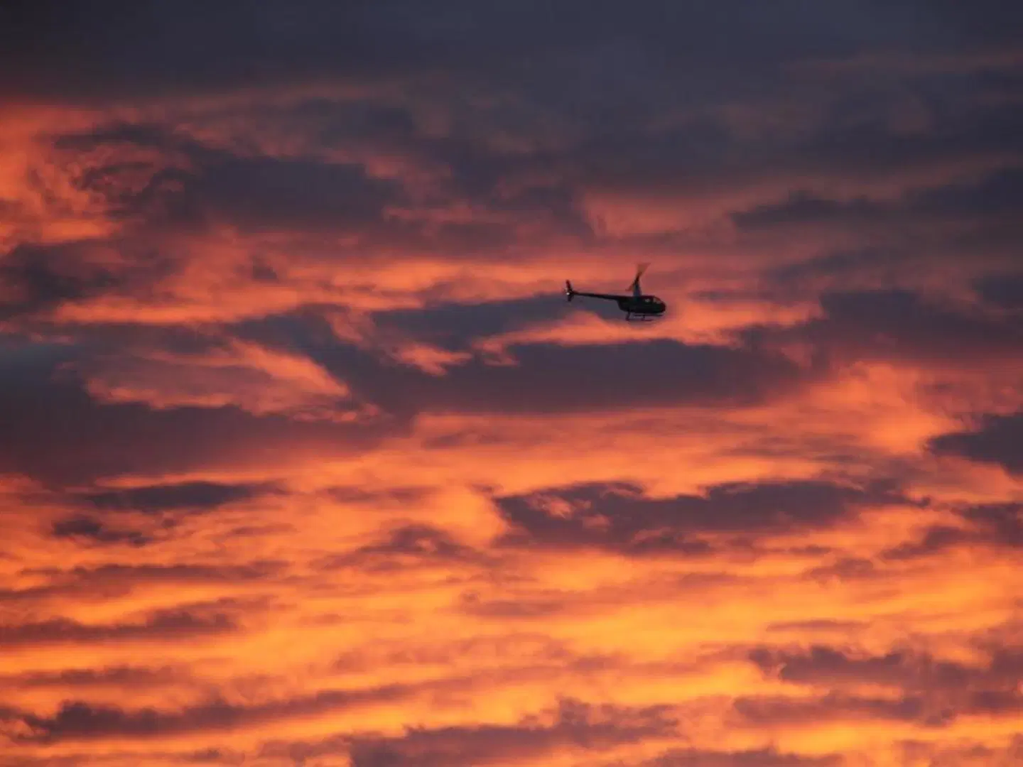 187 Merrijig LANDSCAPE