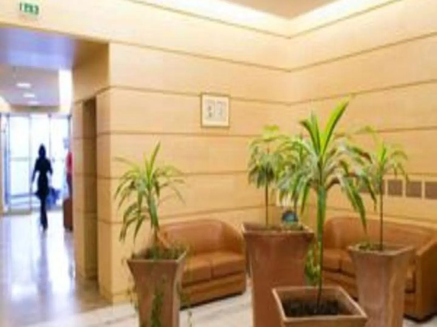 Grand Hôtel du Havre LOUNGE_LOBBY