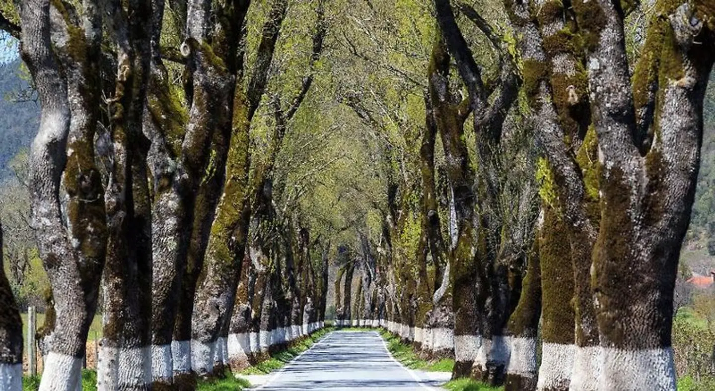 Sever Rio Hotel GARDEN