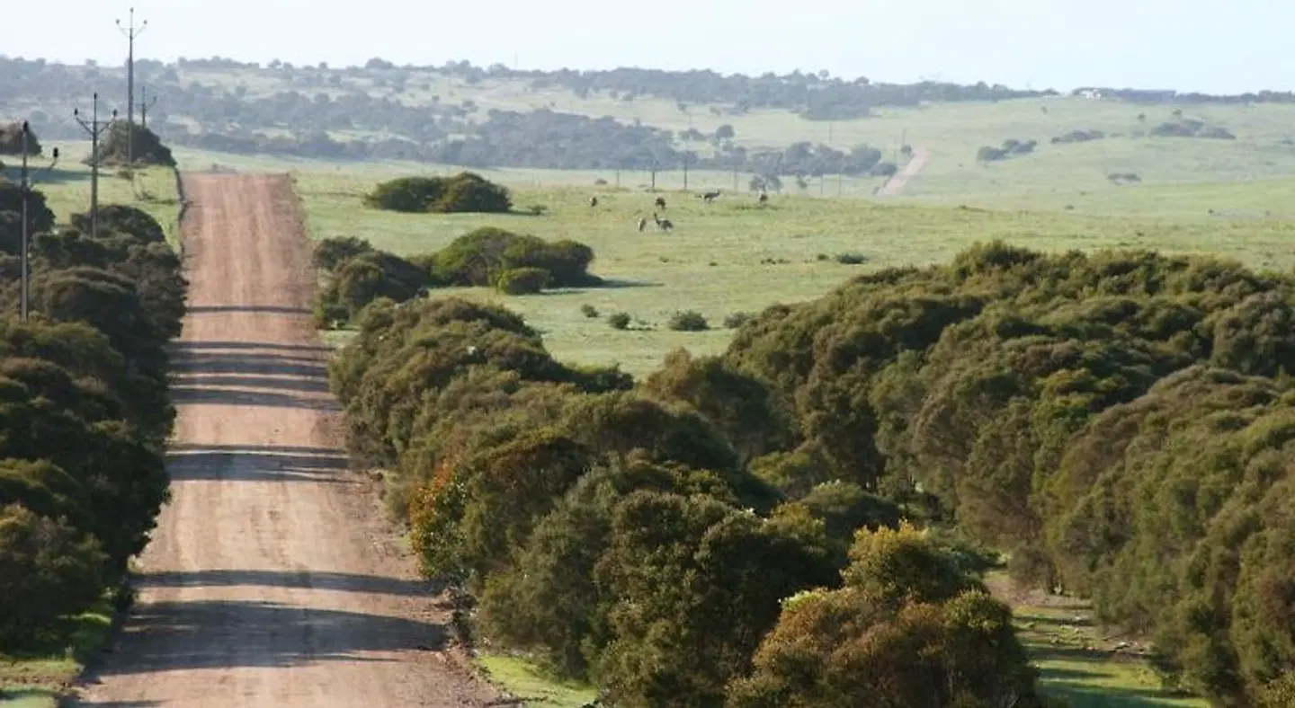 Almonta Park Lodge LANDSCAPE
