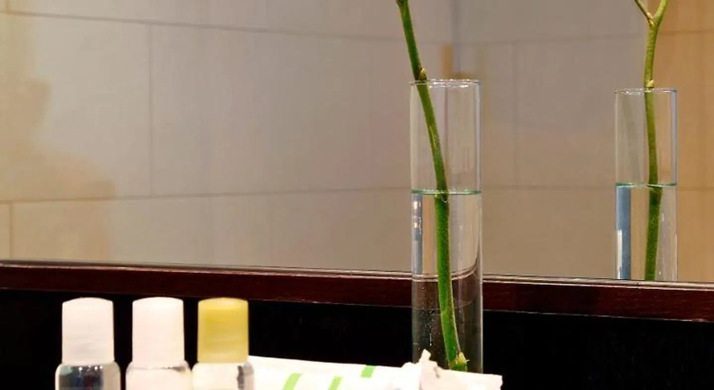 Holiday Inn Madrid - Las Tablas BATHROOM