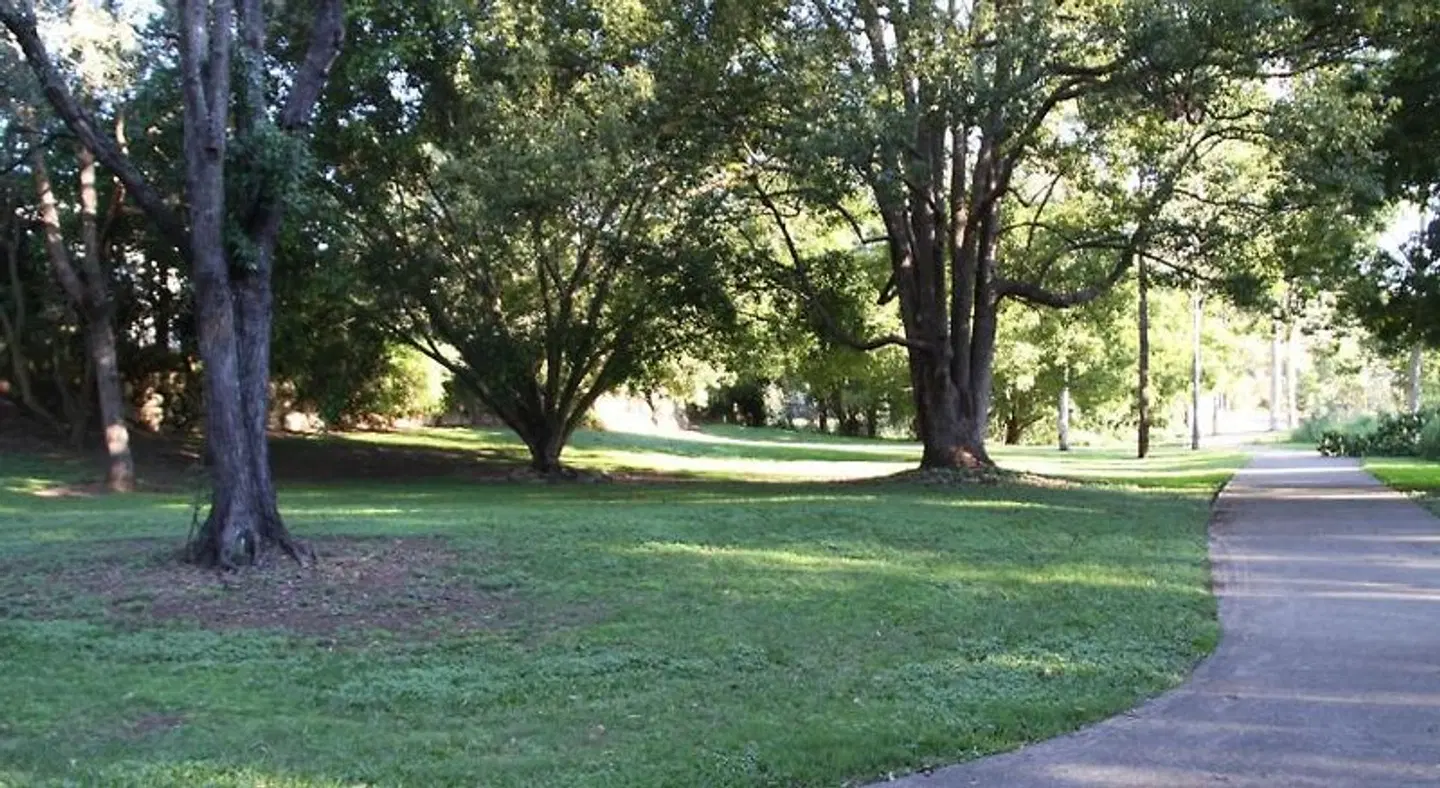 Paperbark Bed & Breakfast GARDEN