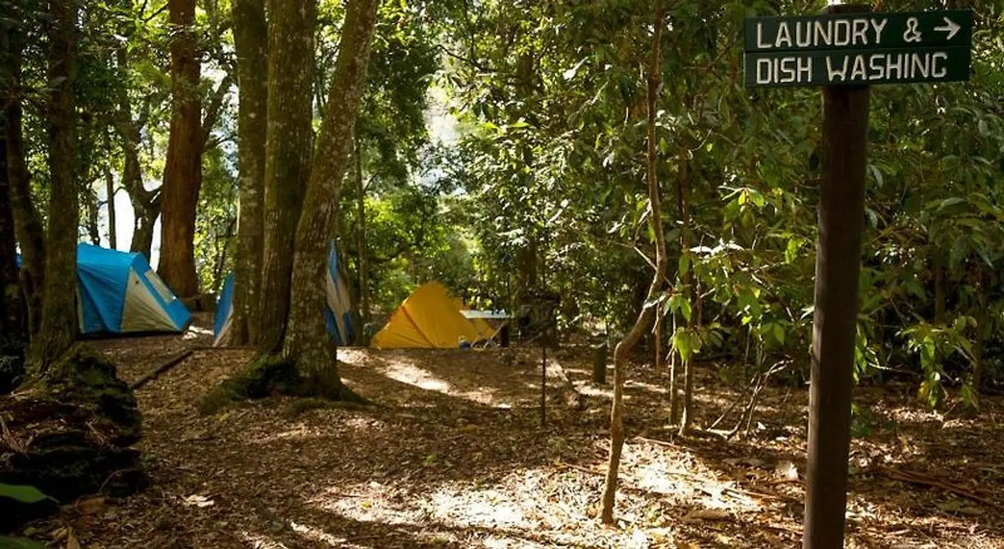 Binna Burra Mountain Lodge TERRACE