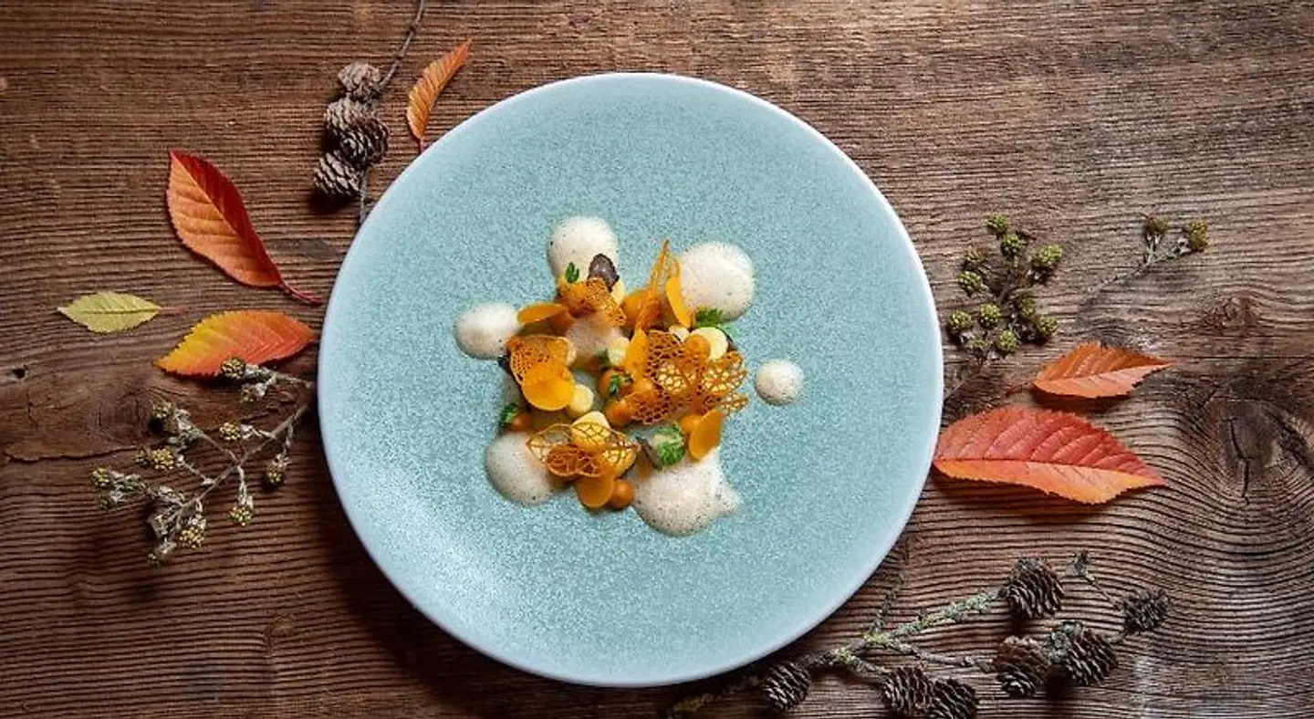 SALZANO Hotel - Spa - Restaurant RESTAURANT