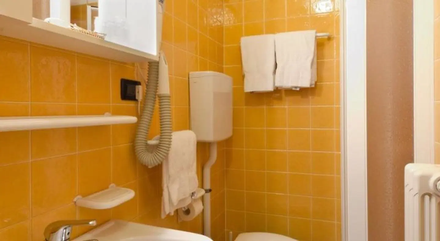 Albergo Hotel Chalet Pineta BATHROOM