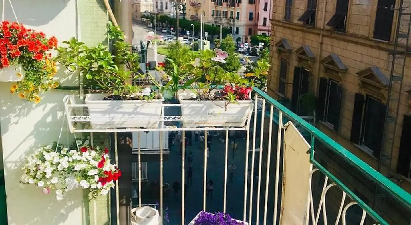 B&B L'Arca Di Noè TERRACE