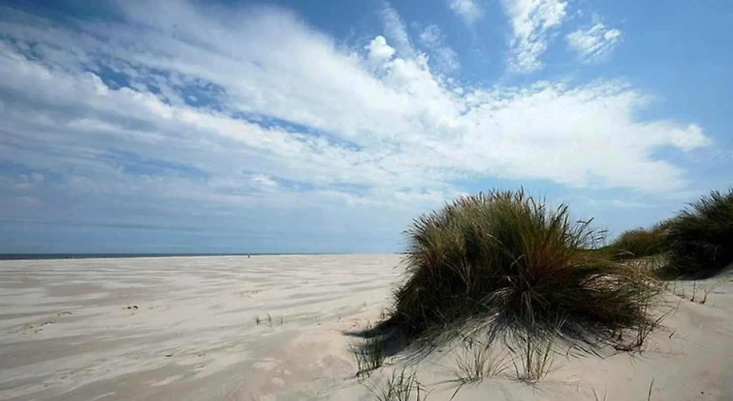Hotel Brasserie Om de Noord BEACH