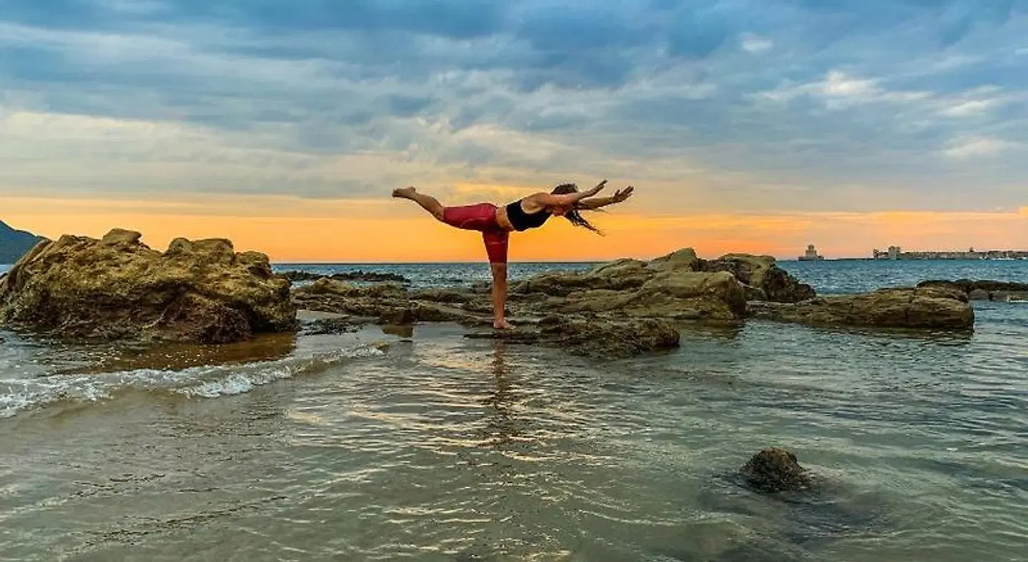 Ulysses Hotel ANIMAL