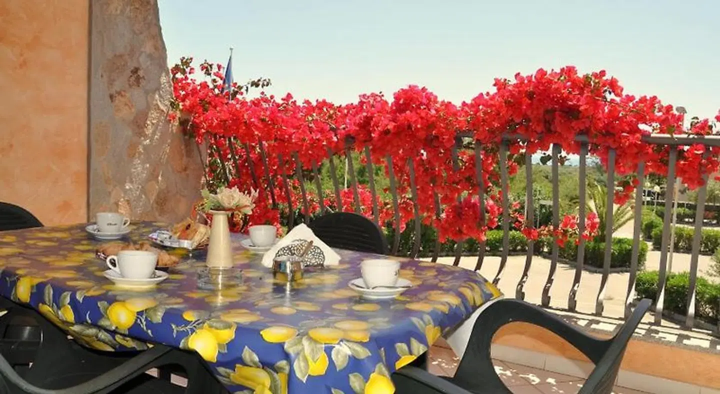 Palm Village TERRACE