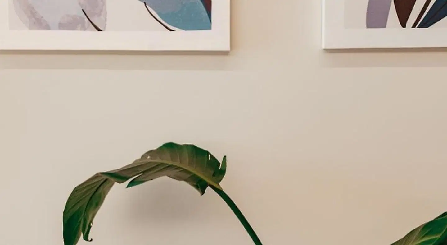 Lumia Hotel ROOM_EXAMPLE