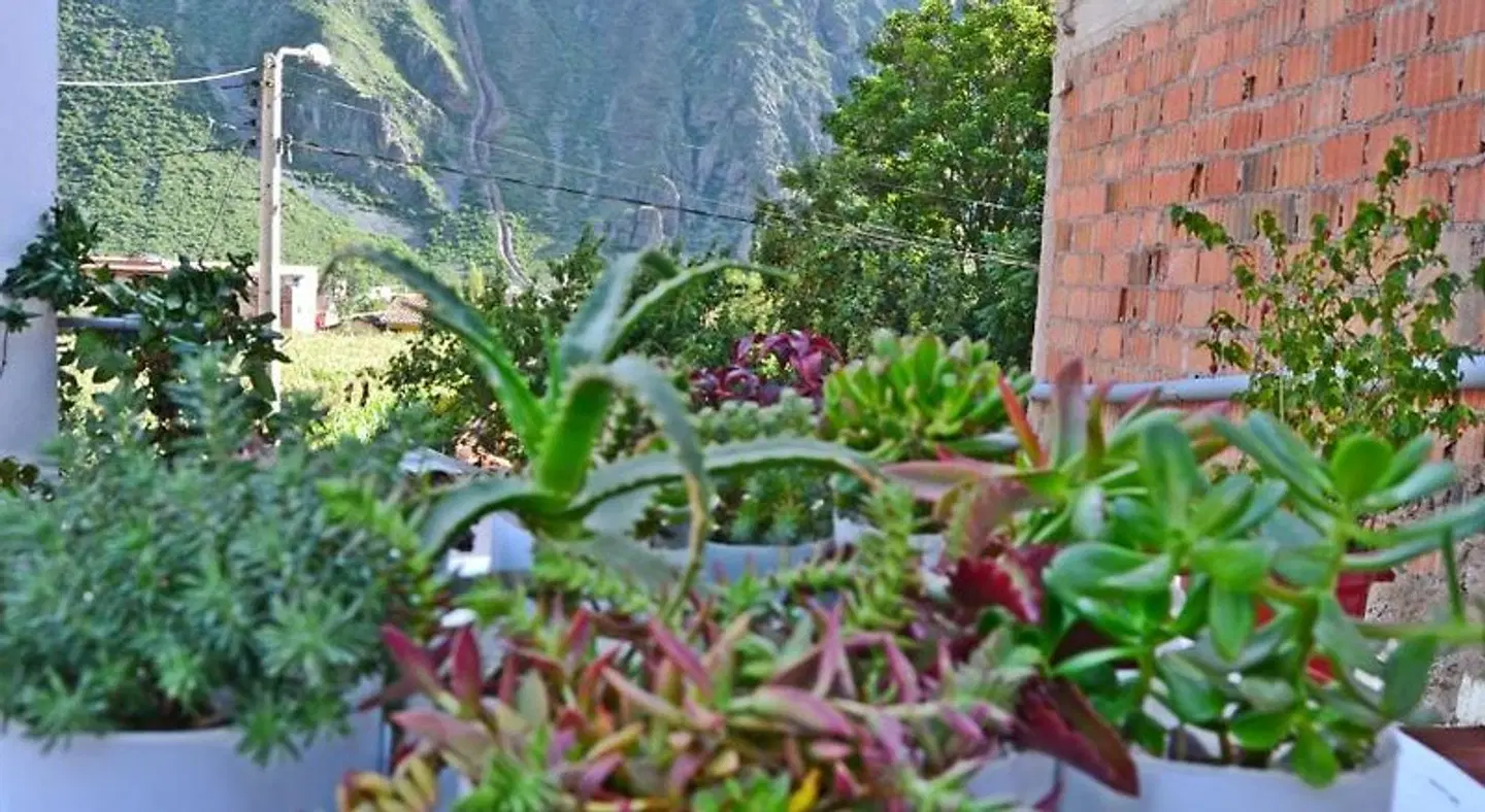 Hostal Chaska Wasi LANDSCAPE