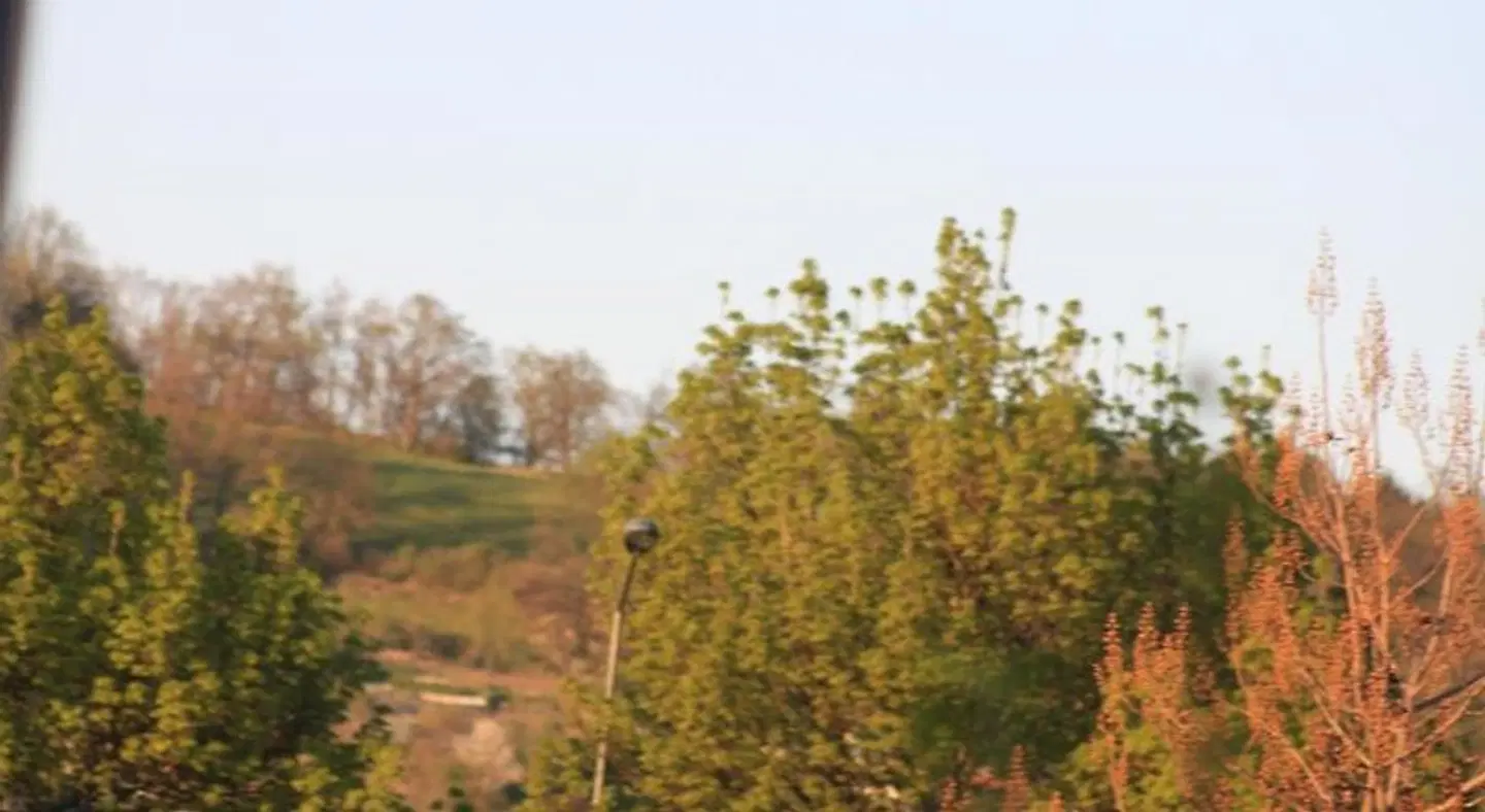 Hôtel Restaurant de la Dore LANDSCAPE