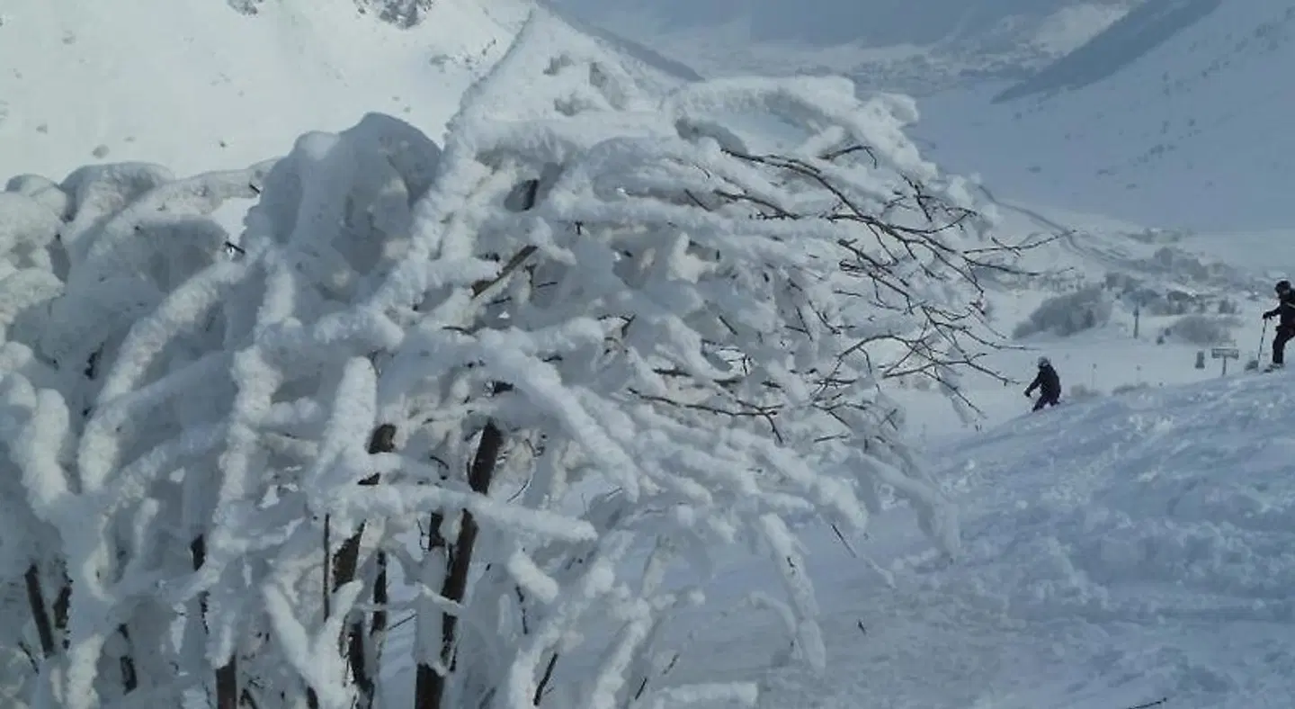 Frühstückspension & Ferienhaus Fädnerspitze ANIMAL