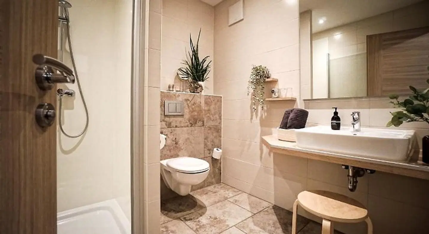 Pension Carlbauer BATHROOM