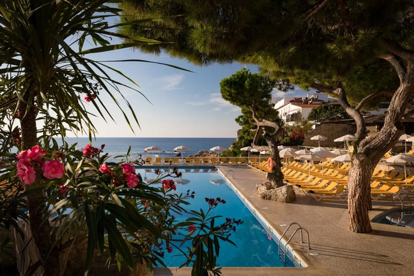 H Top Caleta Palace OUTDOOR_POOL