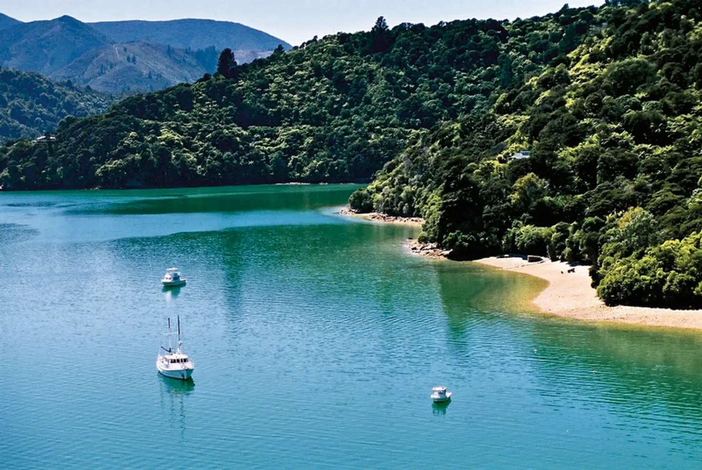 Kleingruppen-Safari Neuseeland LANDSCAPE
