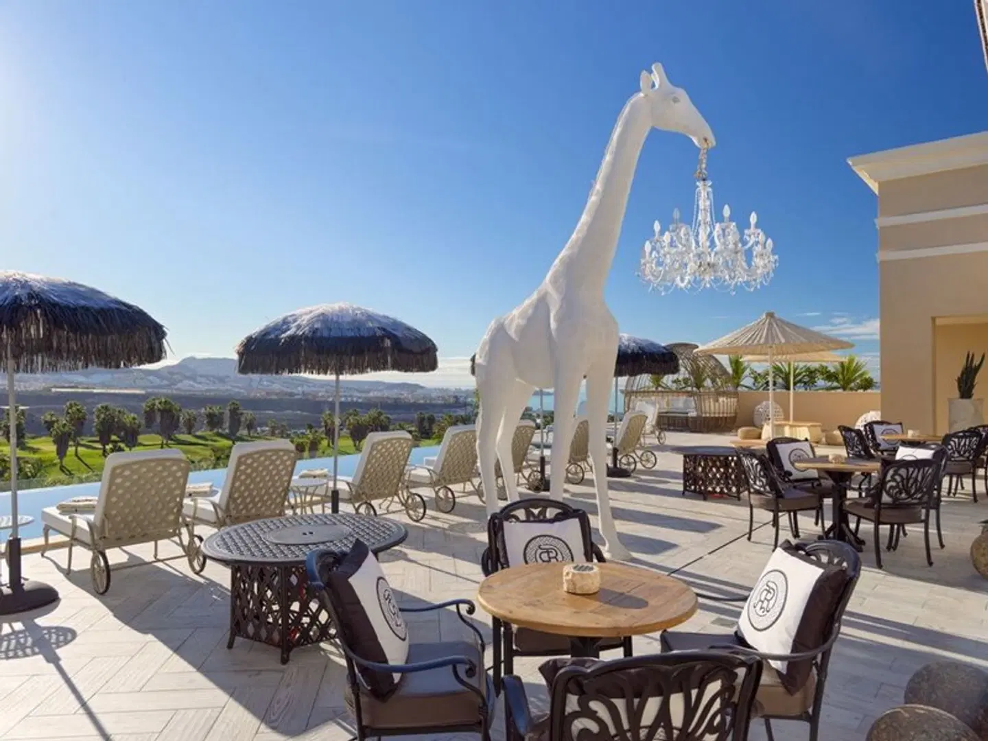 Royal River Terrasse