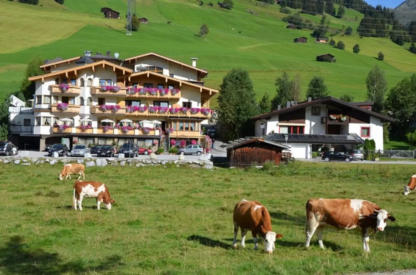 Wohlfühlhotel Innertalerhof Tiere