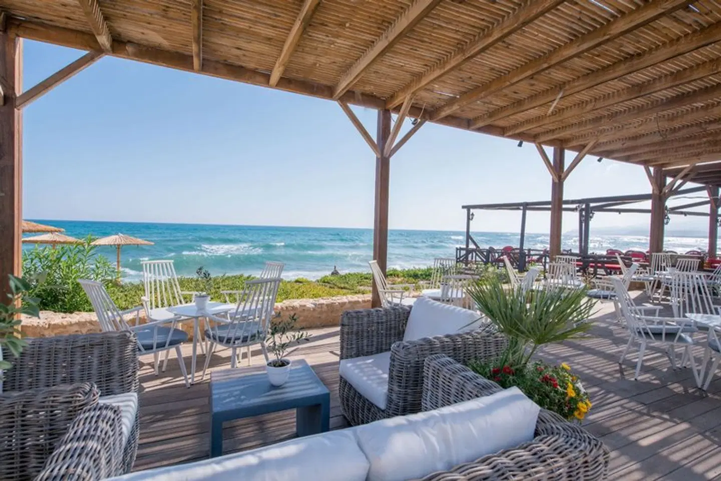 Cactus Bay Terrasse
