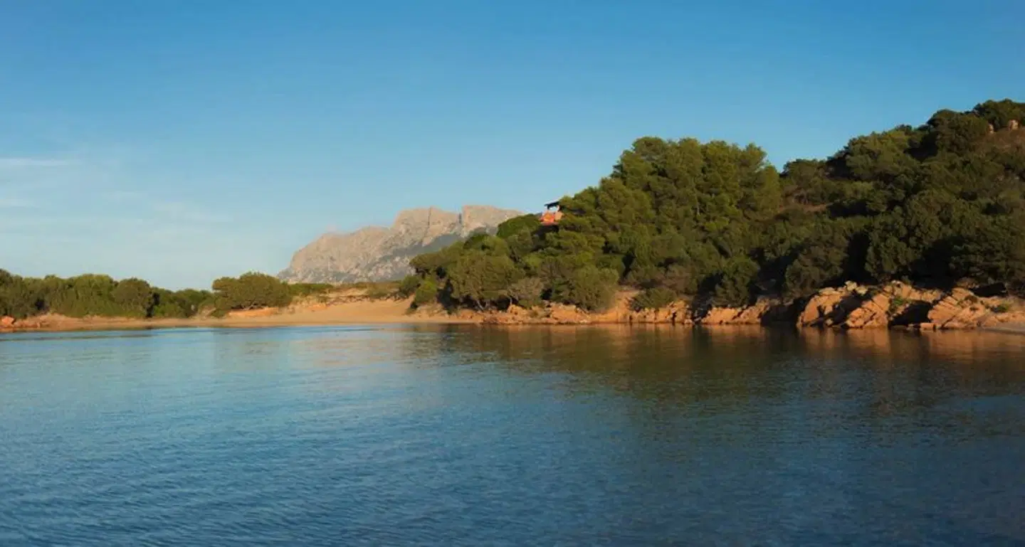 Ollastu LANDSCAPE